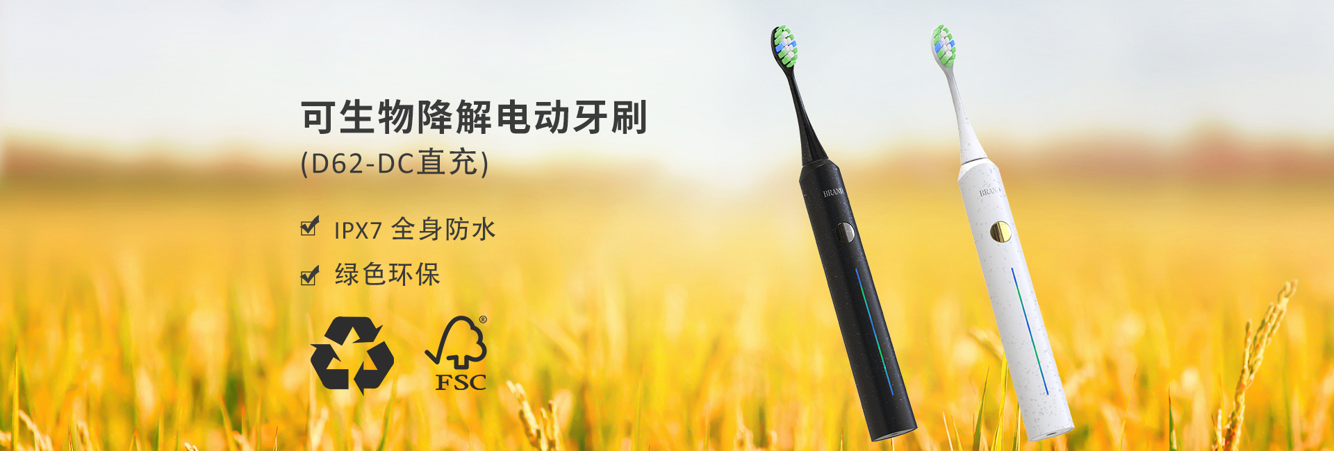 D16火烈鸟海报中文